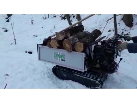 MOTOCARRIOLA CINGOLATA GIOR 600 Kg HONDA III SERIE - PORTELLO ANTERIORE BASCULANTE - VIDEO