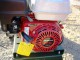 BIOTRITURATORE NEGRI R 95 -  HP 6 BENZINA - VIDEO