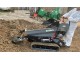MOTOCARRIOLA CINGOLATA GIOR 600 PRO HONDA - CASSONE DUMPER con PALA AUTOCARICANTE - NUOVO MODELLO - VIDEO