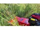 DECESPUGLIATORE TRIMMER SFALCIATUTTO SEMOVENTE CON RUOTE MOTRICI TEKNA TR 70 - LAMA ROTANTE - RUOTE PNEUMATICHE - VIDEO