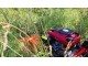 DECESPUGLIATORE TRIMMER SFALCIATUTTO SEMOVENTE CON RUOTE MOTRICI TEKNA TR 70 - LAMA ROTANTE - RUOTE PNEUMATICHE - VIDEO
