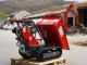 MOTOCARRIOLA CINGOLATA GIOR 550 KG HONDA DUMPER RIBALTAM. IDRAULICO - VIDEO
