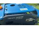 ROBOT TRINCIA TAGLIAERBA CINGOLATO GIOR XT 600 PRO - RADIOCOMANDATO - SUPER PROFESSIONALE