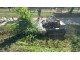 ROBOT TRINCIASARMENTI TAGLIAERBA CINGOLATO GIOR 1000 MONSTER - RADIOCOMANDATO - VIDEO