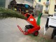 CIPPATORE BIOTRITURATORE GIOR 1300 DIAMETRO CM 10 AVV. STRAPPO - NUOVO - PREZZO - VIDEO