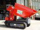 MOTOCARRIOLA NUOVA GIOR 1000 KG DIESEL YANMAR DUMPER - PREZZO - VIDEO