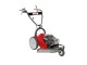 TRINCIAERBA EFCO DR 51 VB6